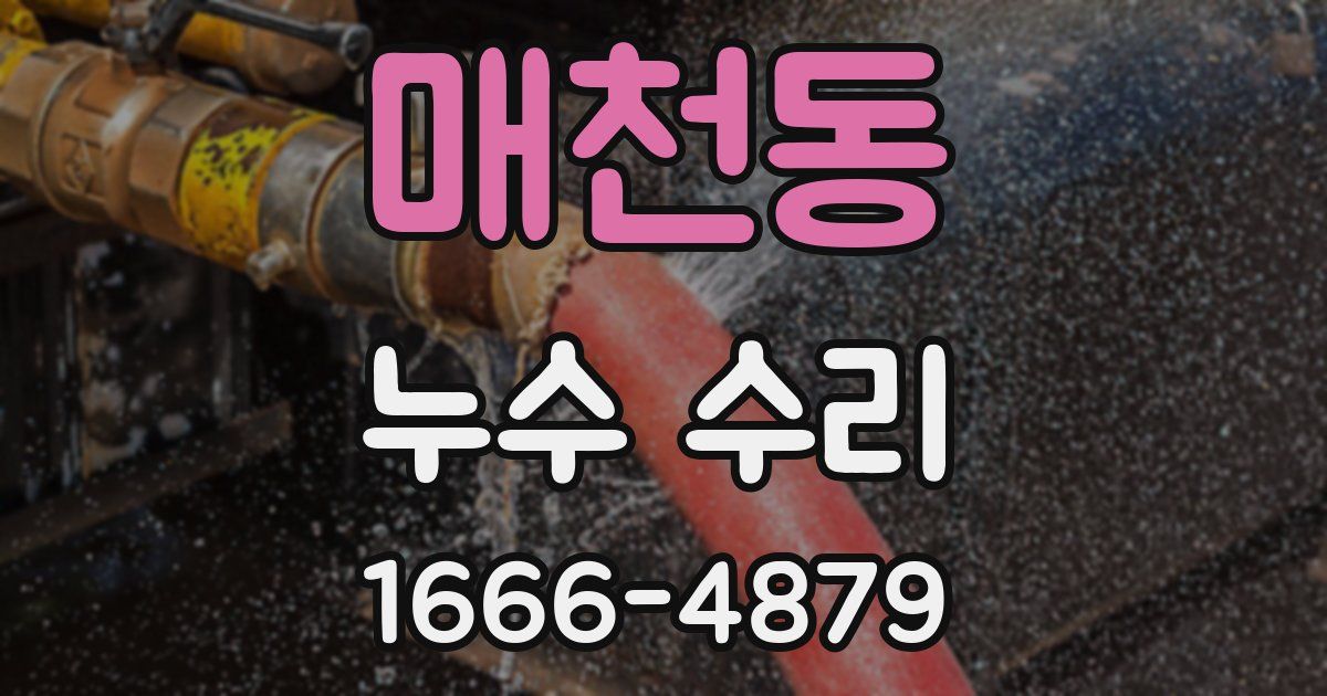 매천동 누수 수리