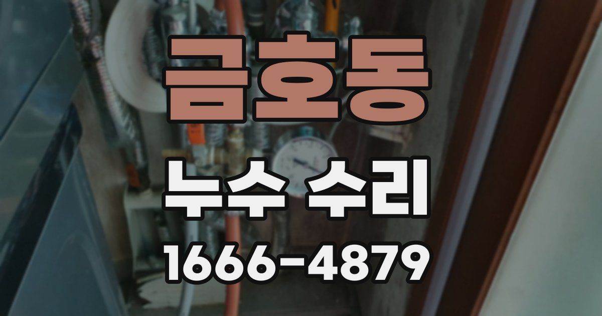 금호동 누수 수리