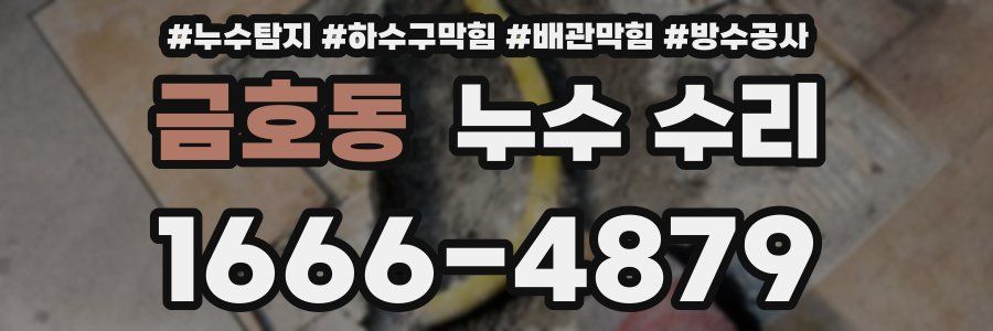 금호동 누수 수리