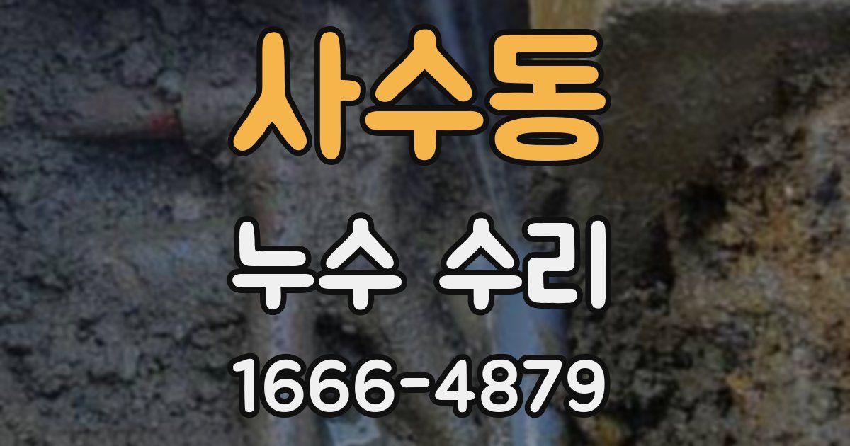 사수동 누수 수리