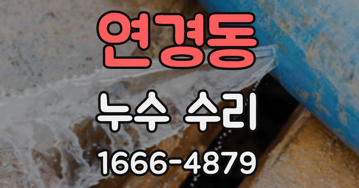 연경동 누수 수리