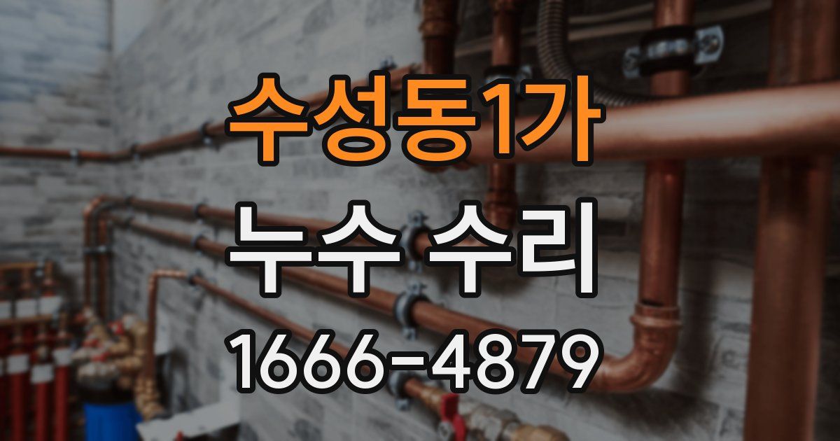 수성동1가 누수 수리