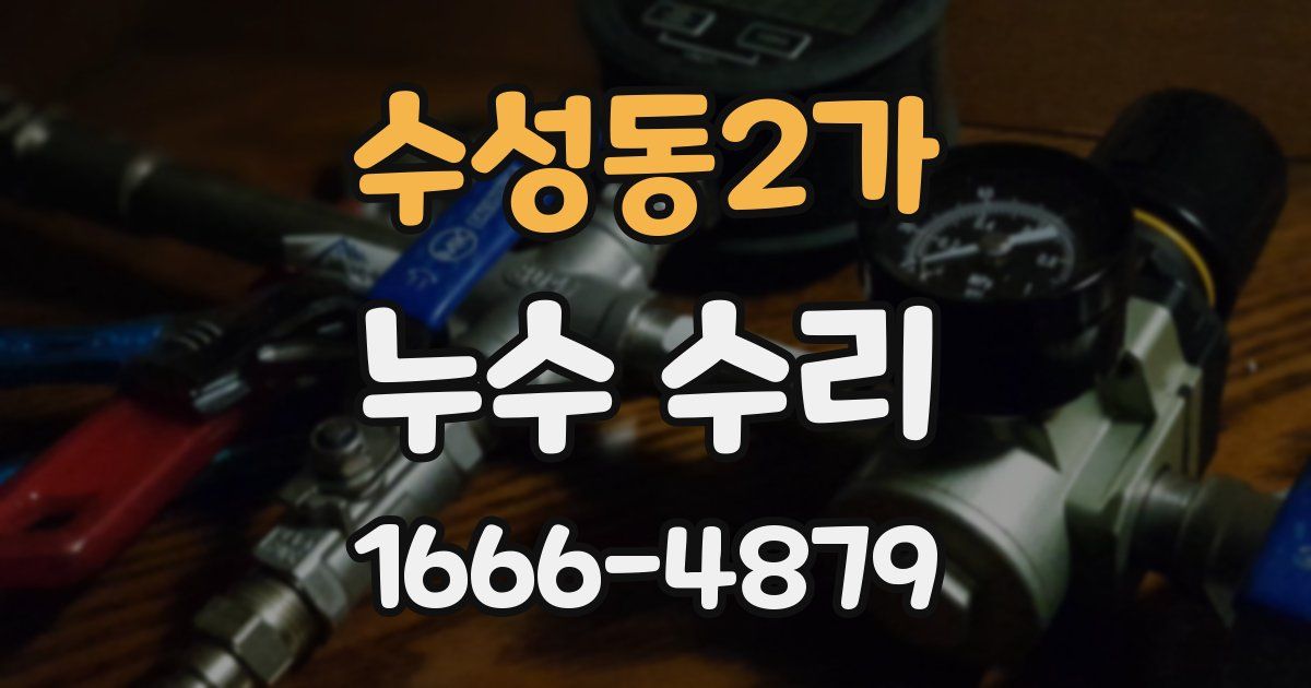 수성동2가 누수 수리