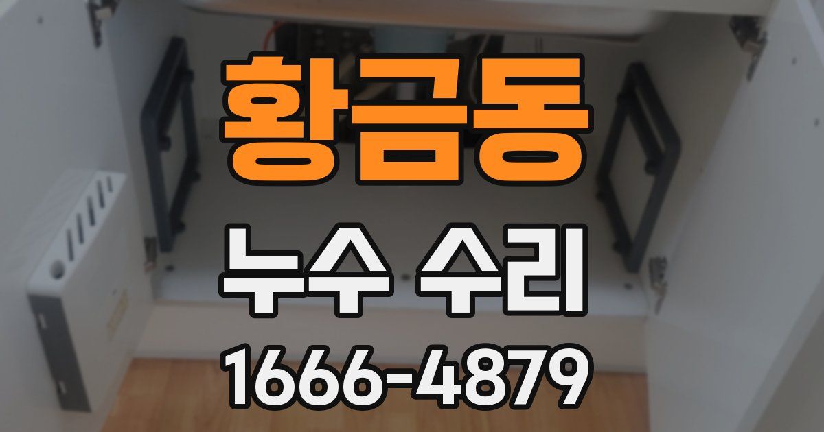 황금동 누수 수리