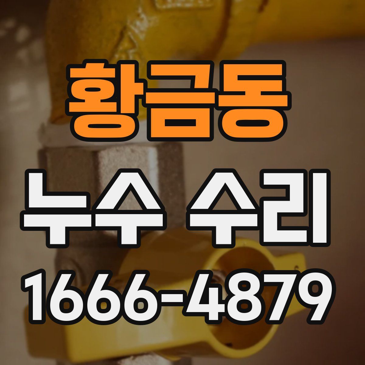 황금동 누수 수리