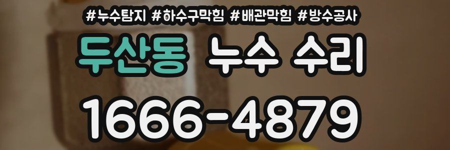 두산동 누수 수리
