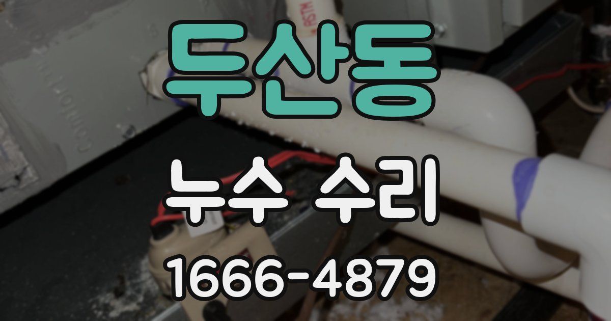 두산동 누수 수리