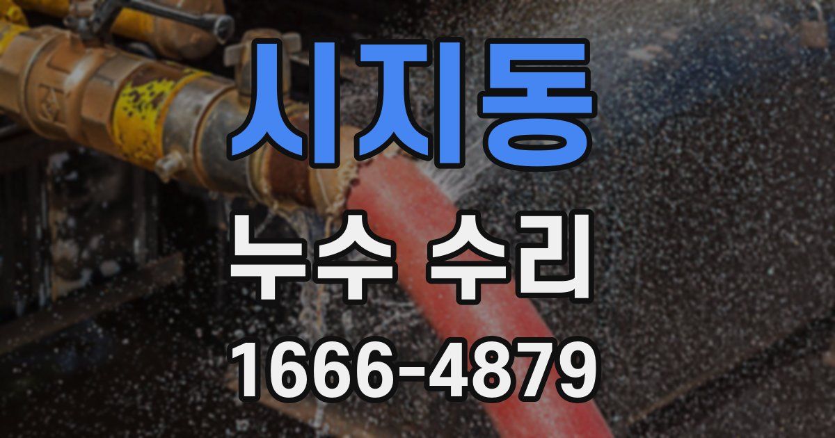 시지동 누수 수리
