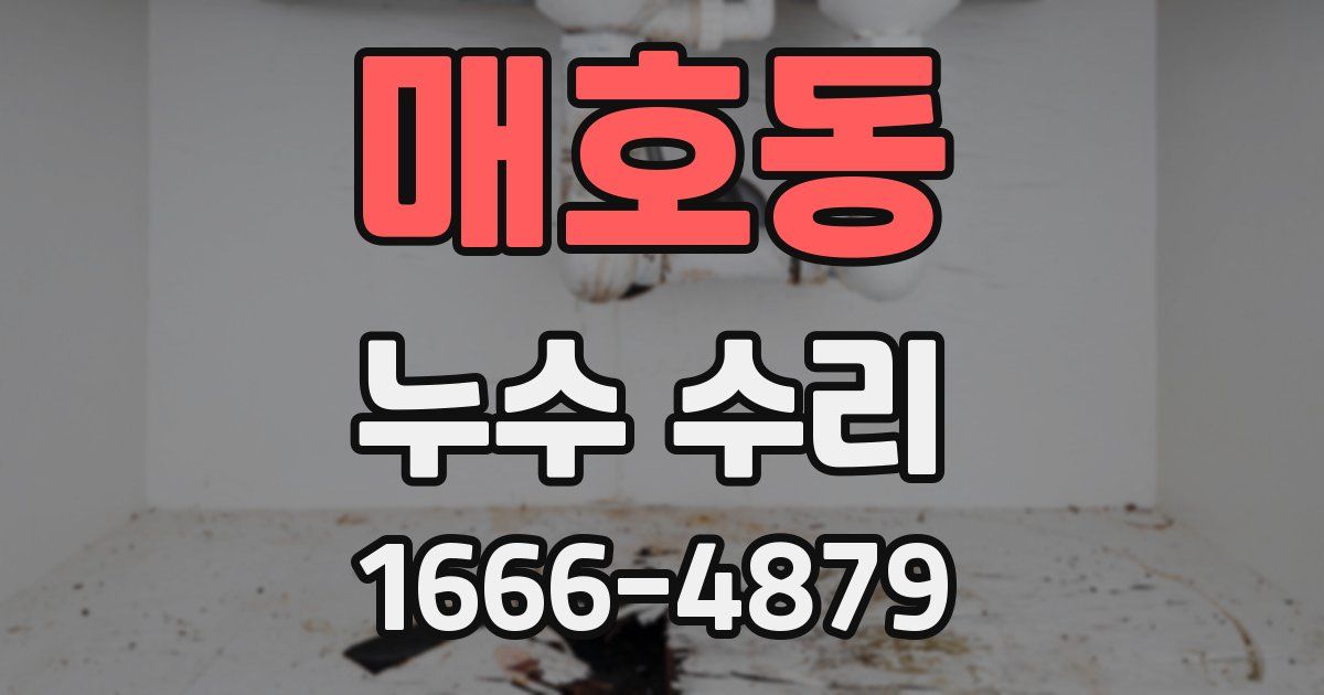 매호동 누수 수리