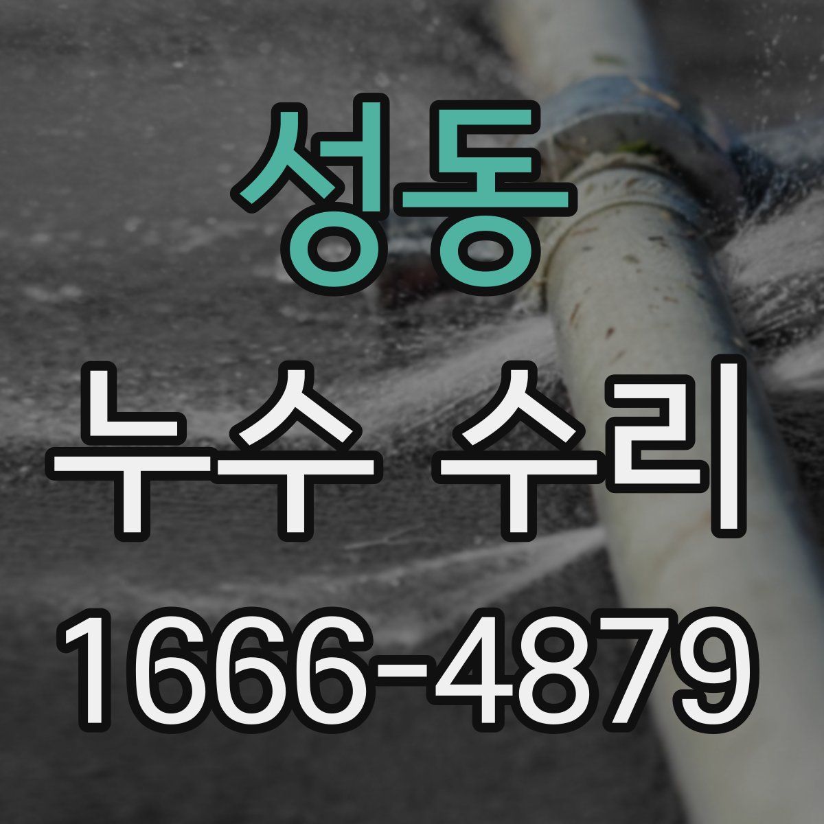 성동 누수 수리