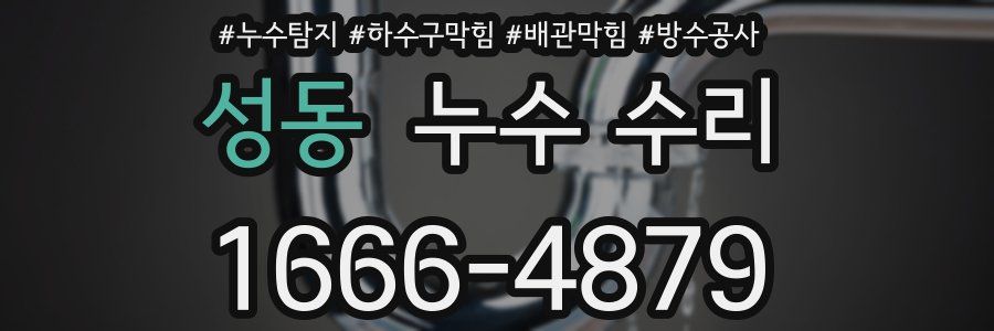 성동 누수 수리