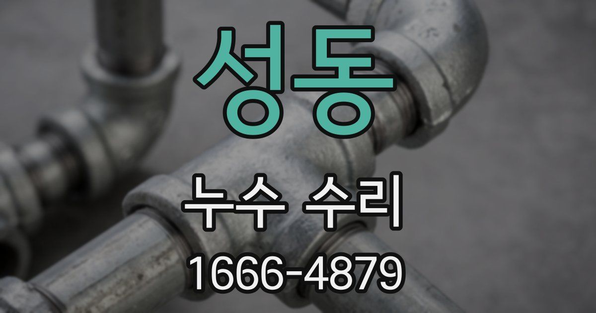 성동 누수 수리