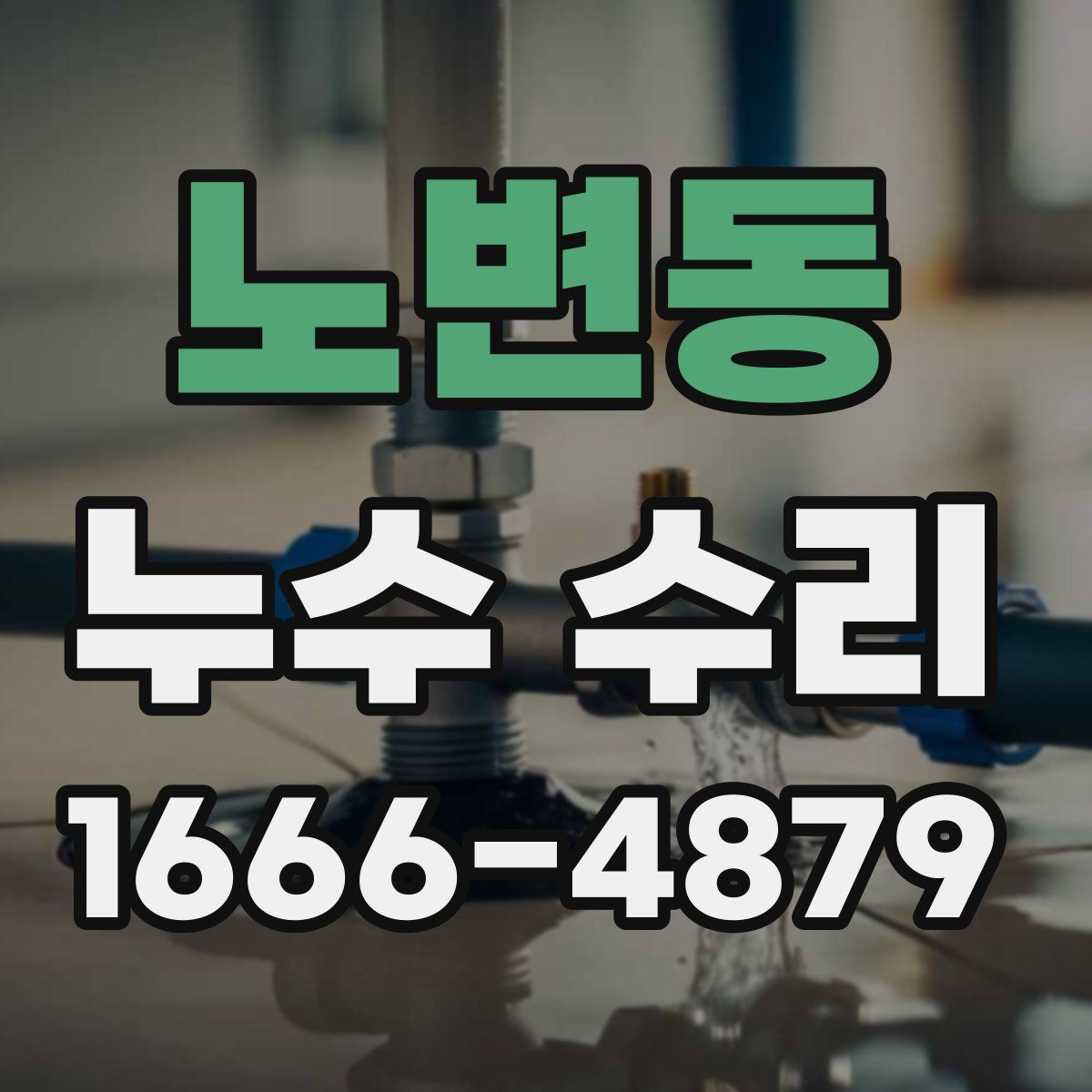 노변동 누수 수리