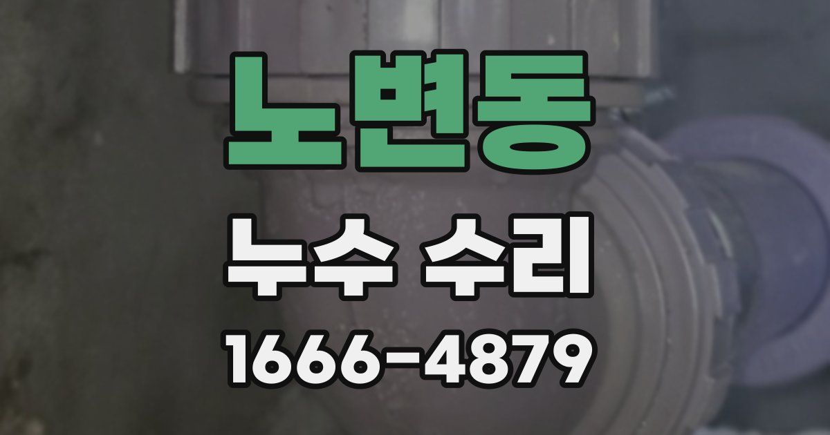 노변동 누수 수리