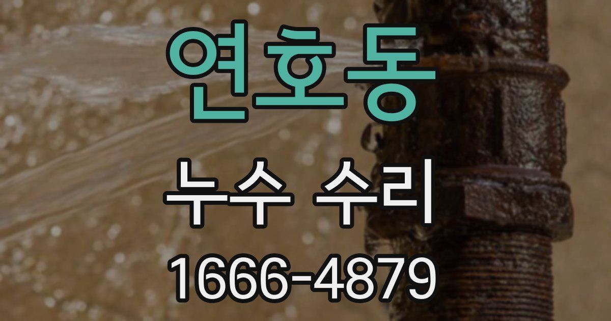 연호동 누수 수리