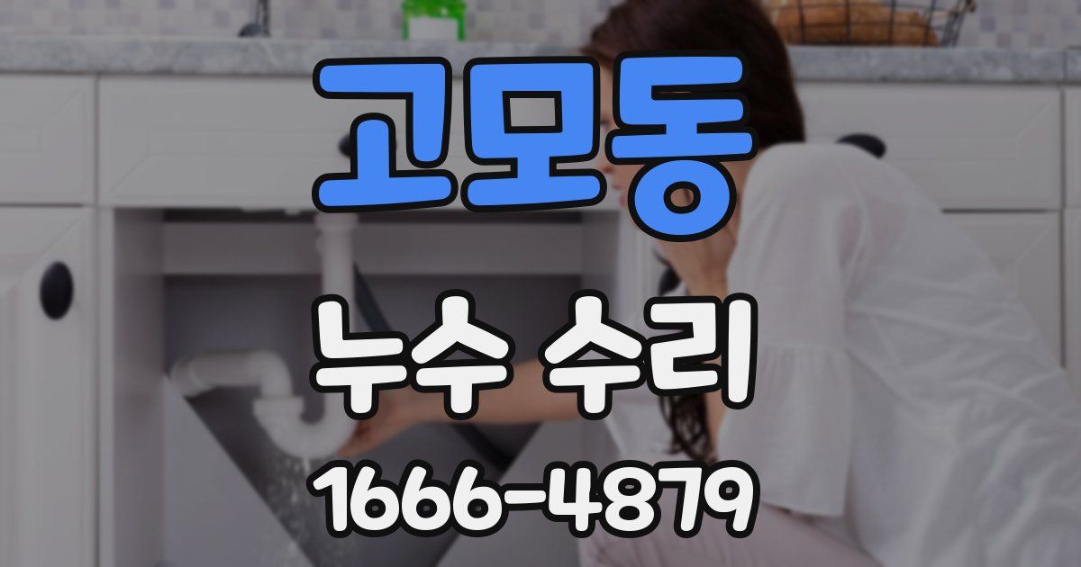 고모동 누수 수리