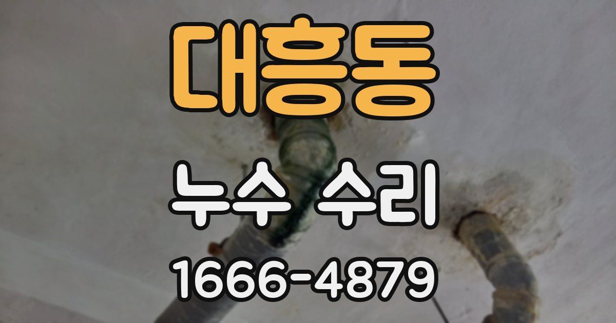 대흥동 누수 수리