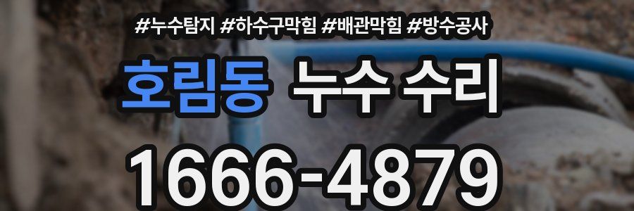 호림동 누수 수리