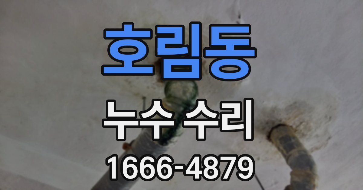호림동 누수 수리