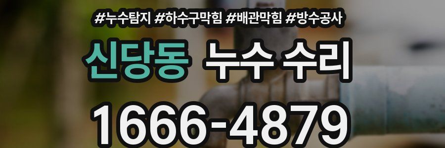 신당동 누수 수리