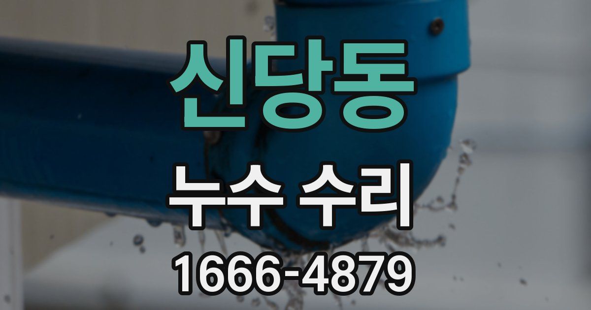 신당동 누수 수리