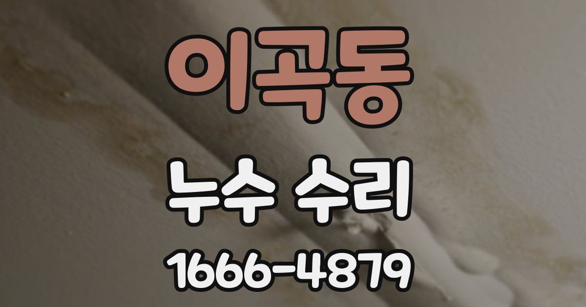 이곡동 누수 수리
