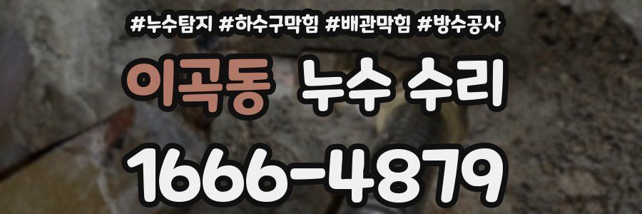 이곡동 누수 수리