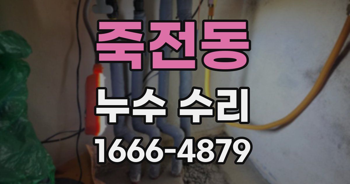 죽전동 누수 수리