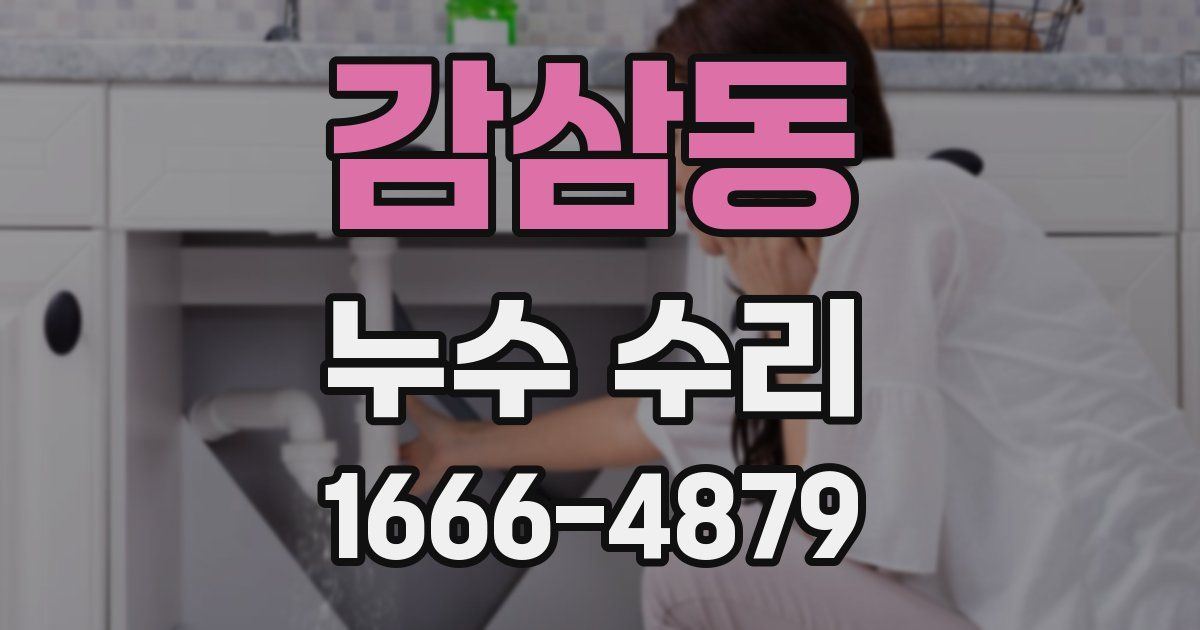 감삼동 누수 수리