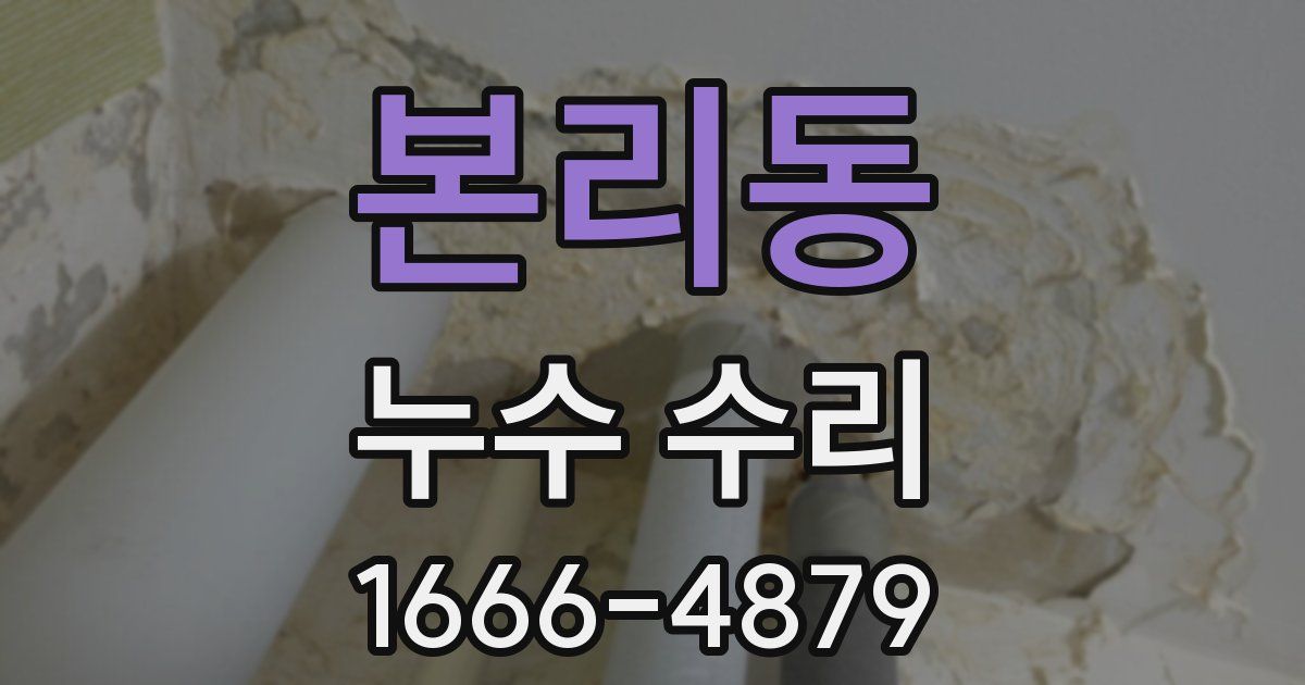 본리동 누수 수리