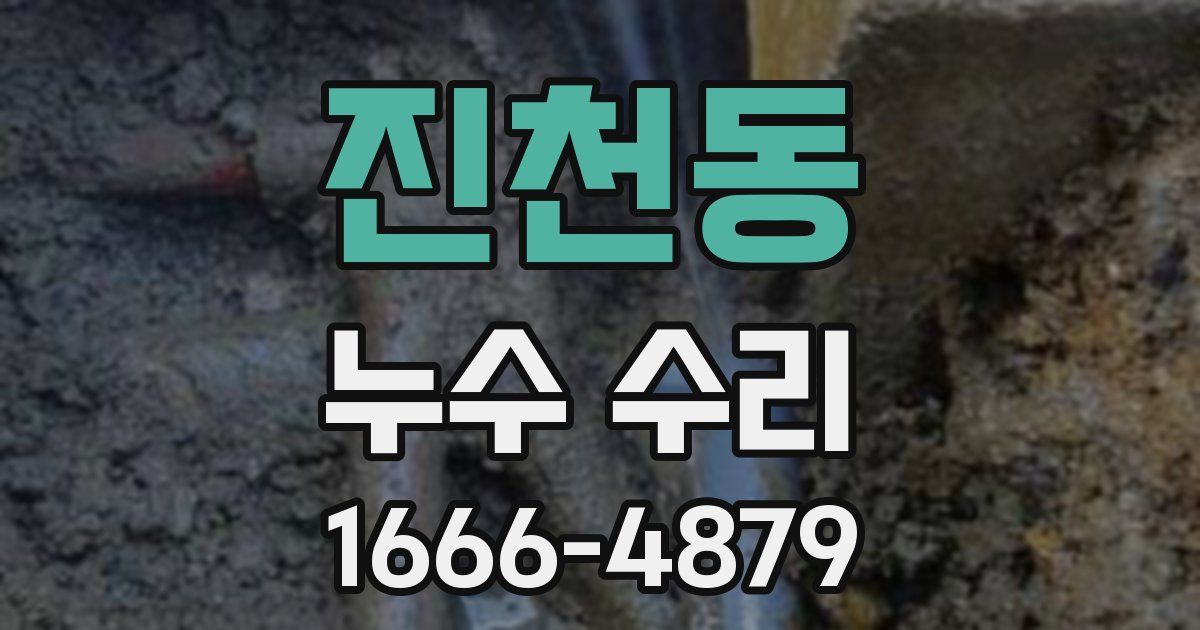 진천동 누수 수리