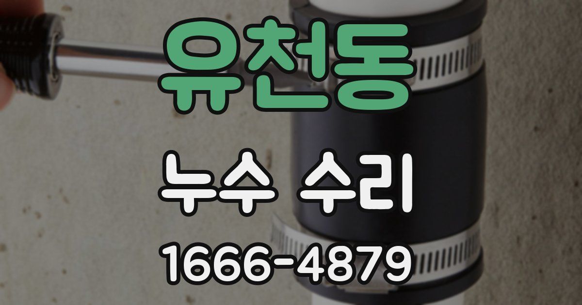 유천동 누수 수리