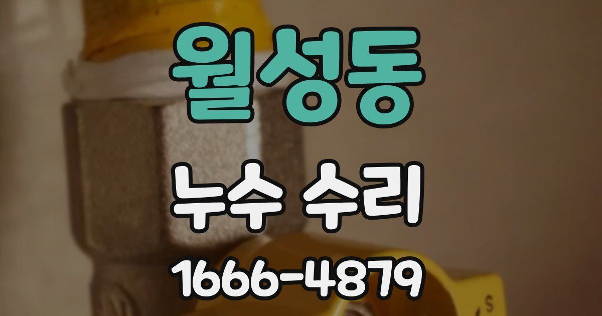 월성동 누수 수리