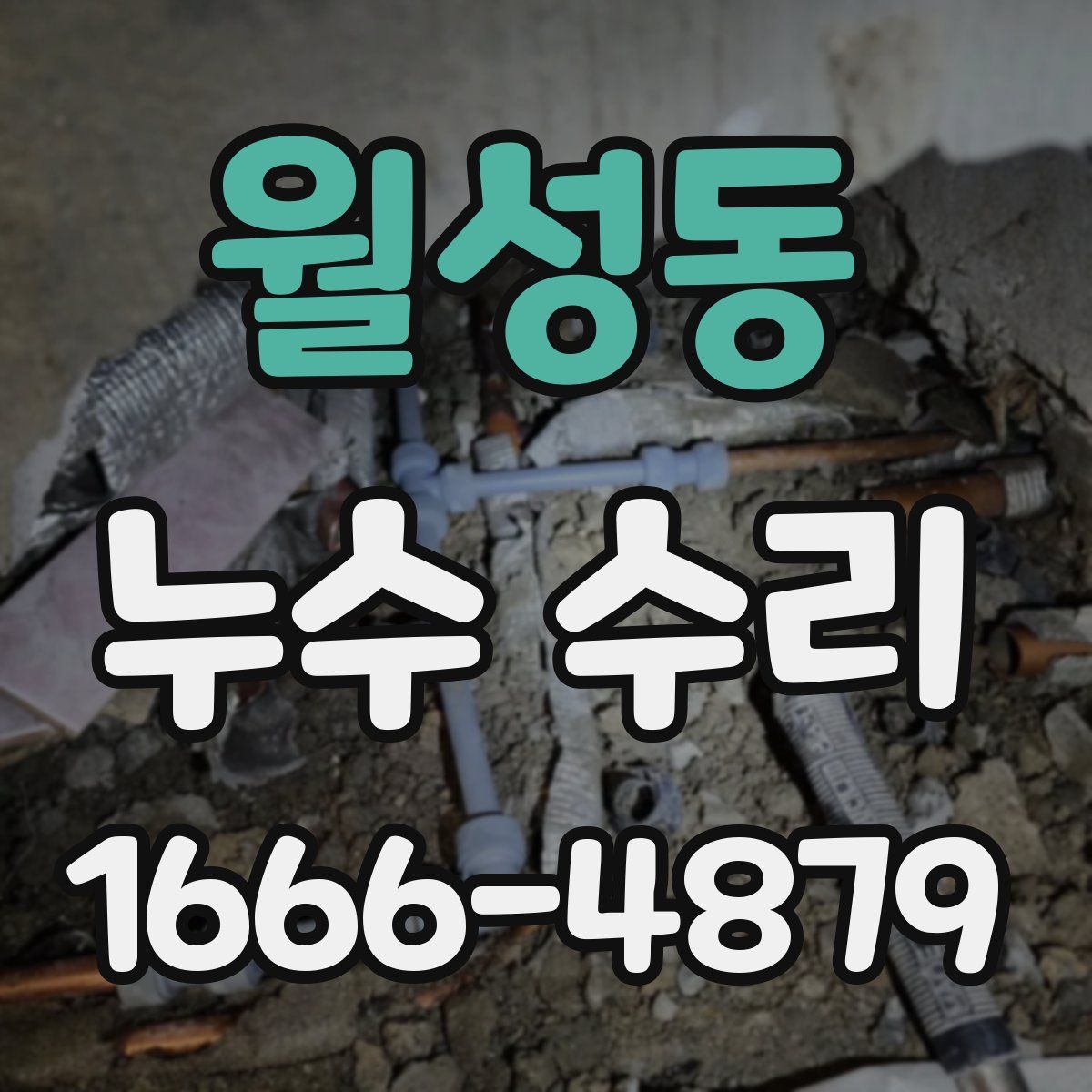 월성동 누수 수리