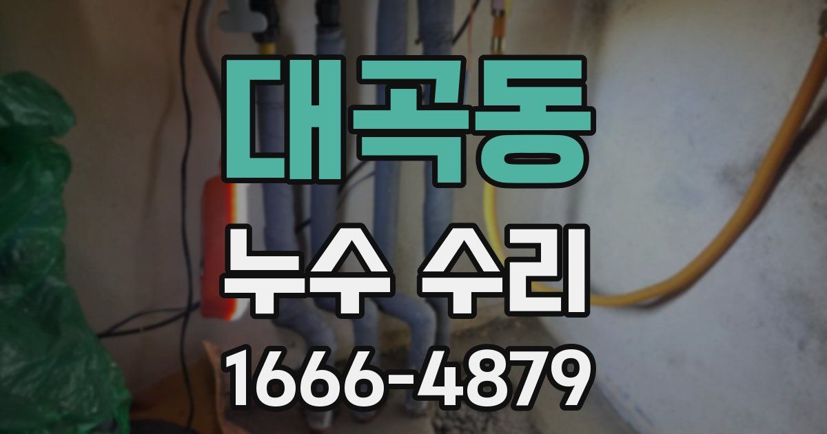 대곡동 누수 수리