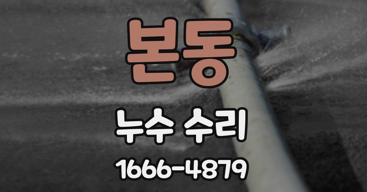 본동 누수 수리
