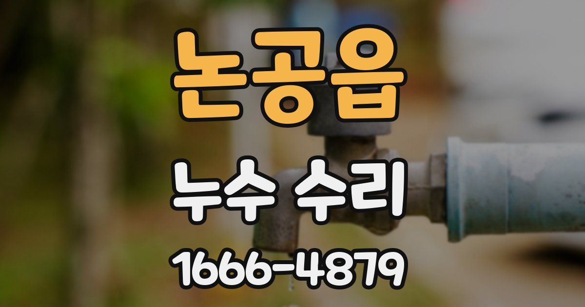 논공읍 누수 수리