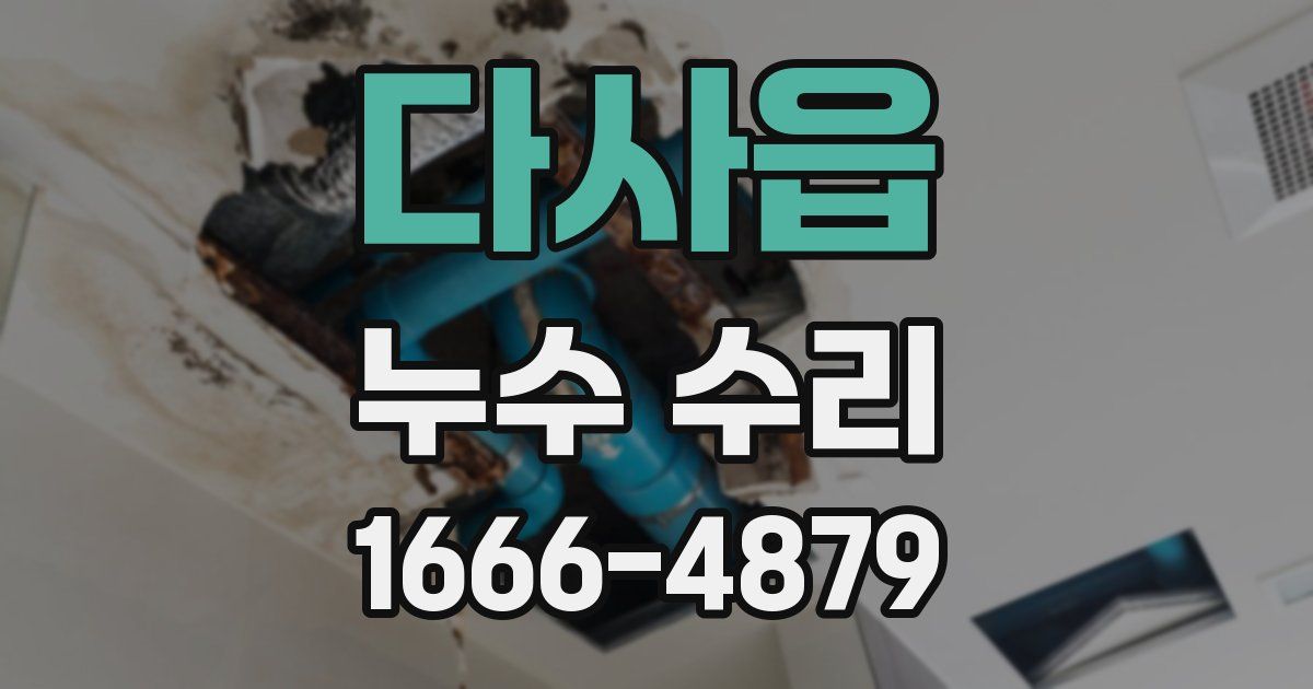 다사읍 누수 수리