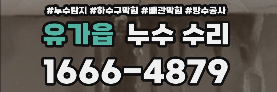 유가읍 누수 수리
