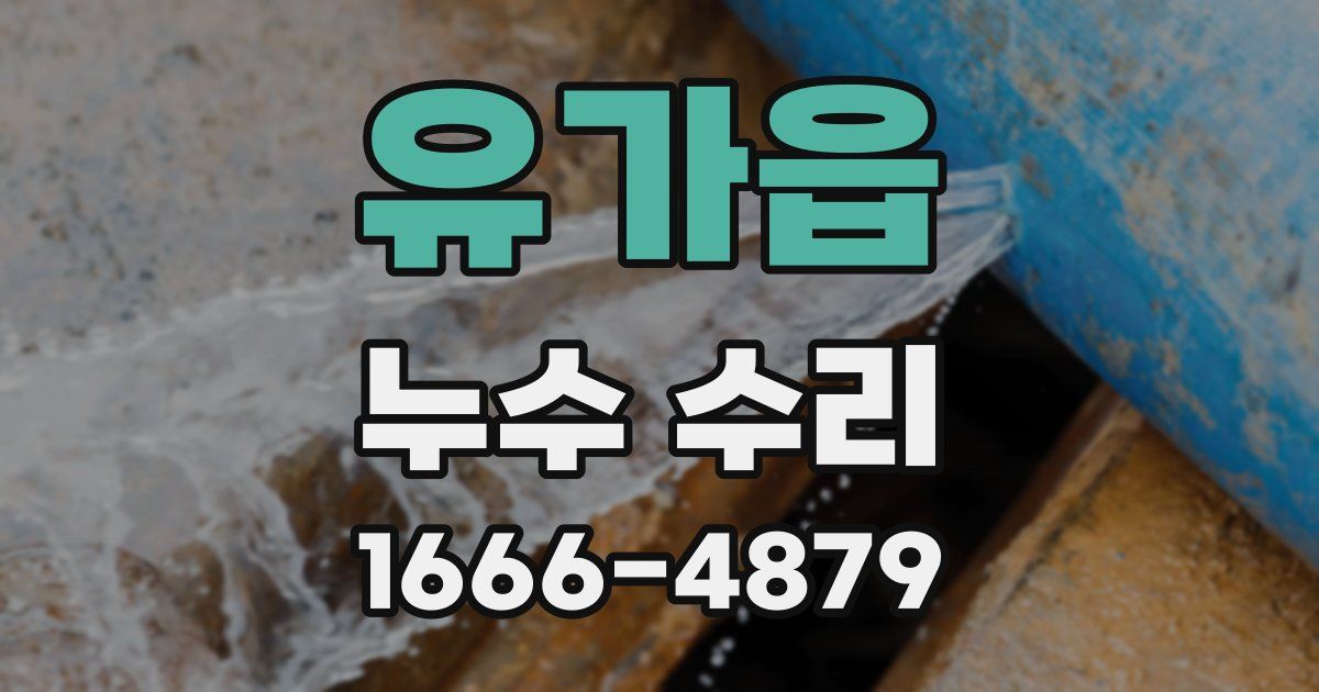 유가읍 누수 수리