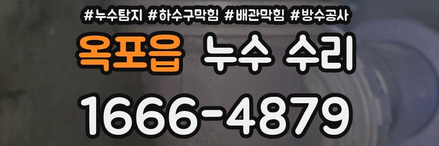 옥포읍 누수 수리