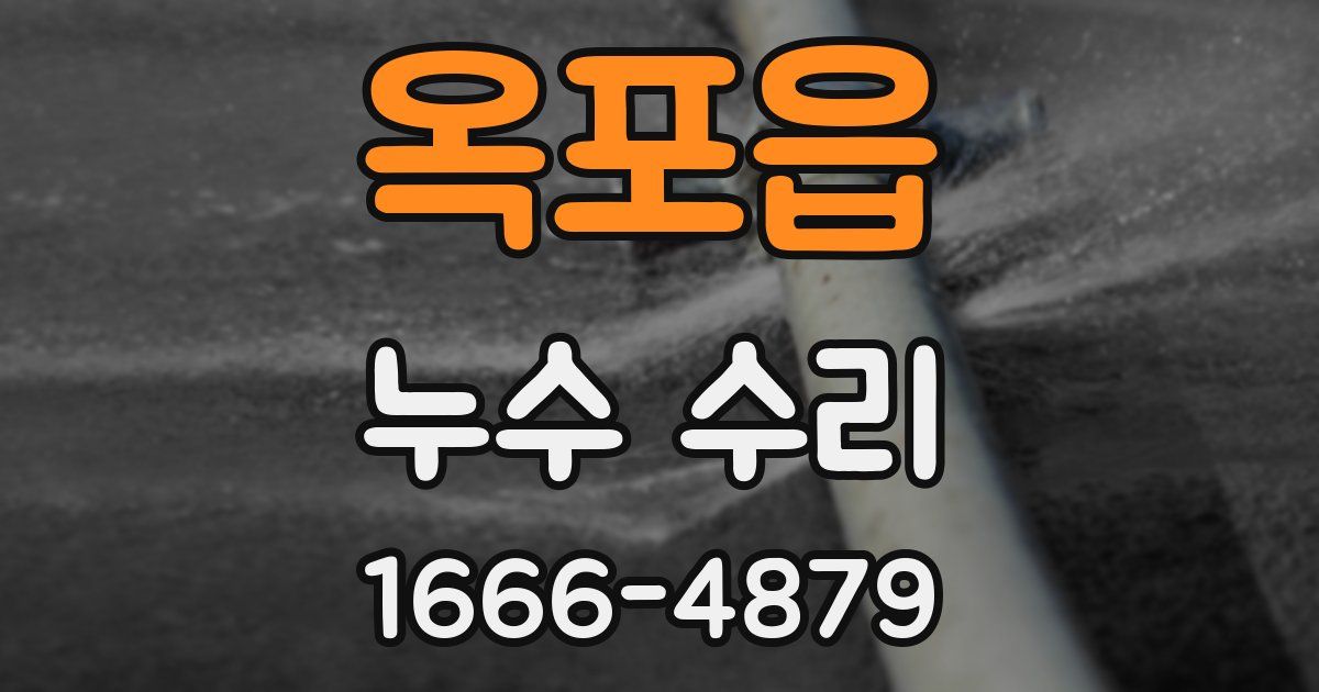 옥포읍 누수 수리
