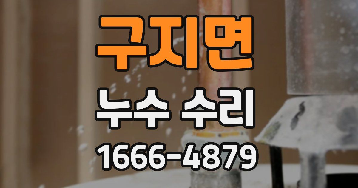 구지면 누수 수리