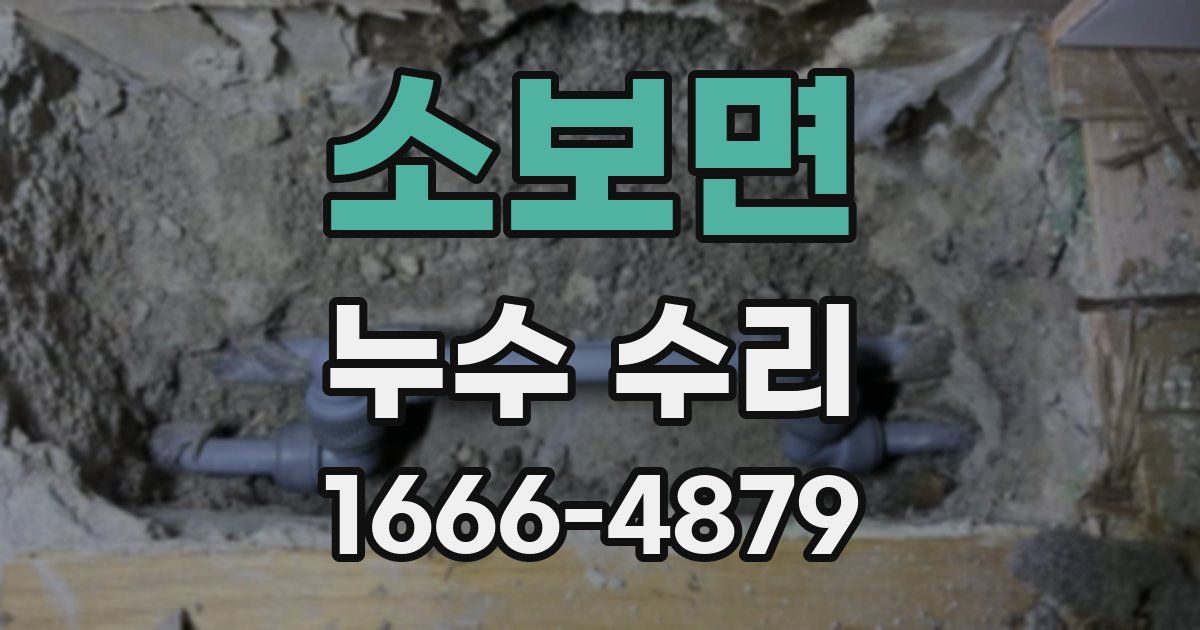 소보면 누수 수리