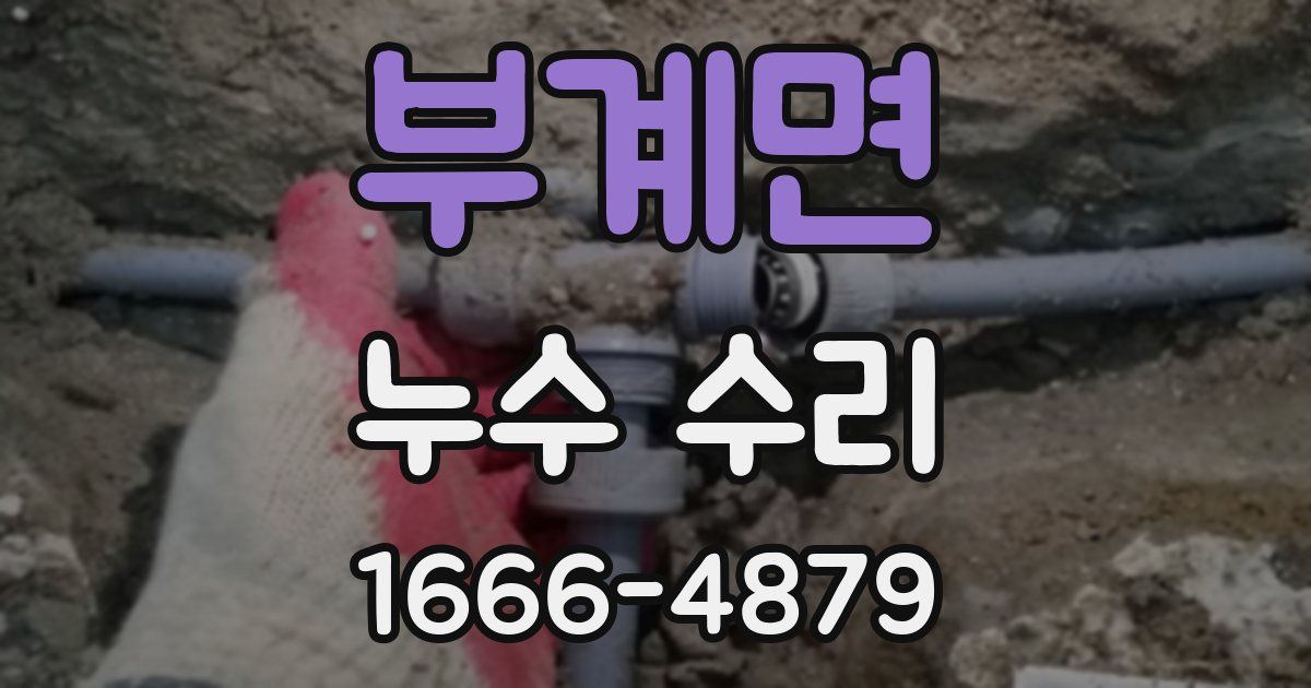 부계면 누수 수리
