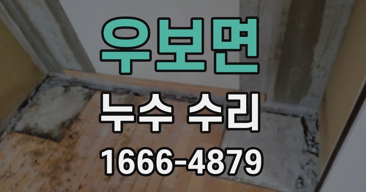 우보면 누수 수리