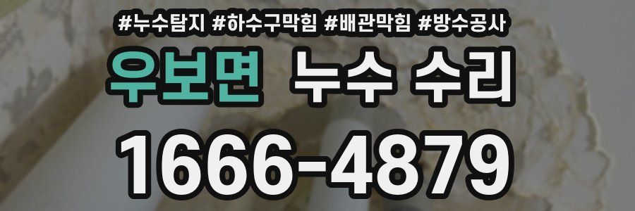 우보면 누수 수리