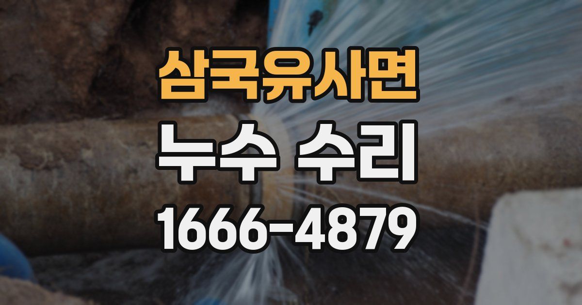 삼국유사면 누수 수리