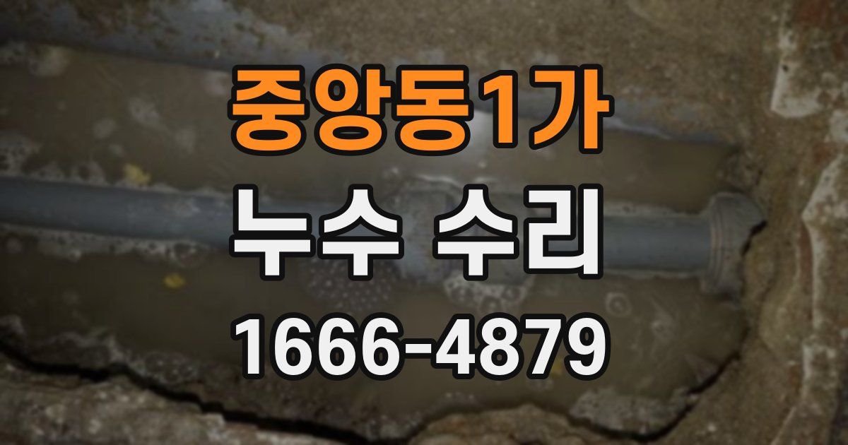 중앙동1가 누수 수리