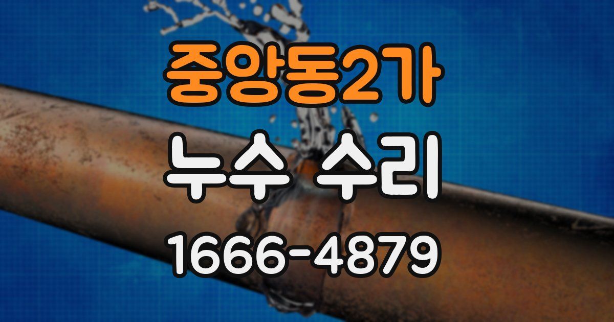 중앙동2가 누수 수리
